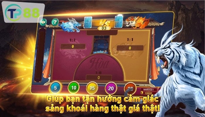 Nguyên tắc cơ bản của Rồng Hổ