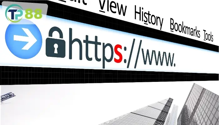 Hướng dẫn về cách để sử dụng link đá gà trực tiếp chuẩn xác
